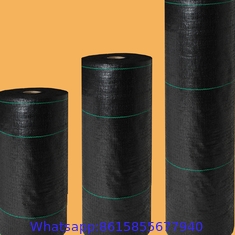 PP Woven Ground Cover For Agriculture And Garden 80gsm Black Plastic Weed Mat High Quality Anti Grass PP Ground Cover