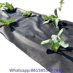 Anti Weed Mat Plastic Mulch Film Agricultural Black Plastic Ground Cover