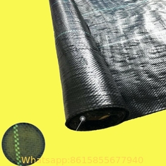 Anti Weed Mat Plastic Mulch Film Agricultural Black Plastic Ground Cover
