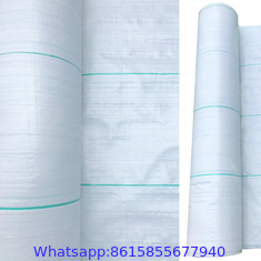 Factory Price agricultural anti weed mat/weed killer fabric /weed cloth