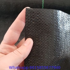 100% PP woven PP PE black Virgin PP ground cover anti weed mat