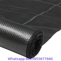 waterproof hot sale black with Green line ground cover anti weed mat