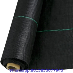 PP woven membrane PE ground cover weedmat anti grass weed control cloth bloker mulch film landscape fabric barrier mat