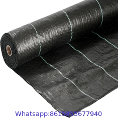 PP plastic black Apple orchard ground cover woven fabric anti weed mat