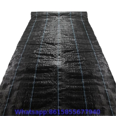 PP plastic black Apple orchard ground cover woven fabric anti weed mat