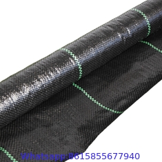 Blueberry nursery Apple orchard ground cover GRS approve white black reflective matting PP woven fabric anti weed contro