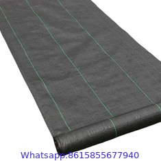 Blueberry nursery Apple orchard ground cover GRS approve white black reflective matting PP woven fabric anti weed contro