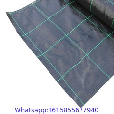 Polypropylene agricultural Factory Direct Sale Weed Mat Control Black Agricultural Breathable