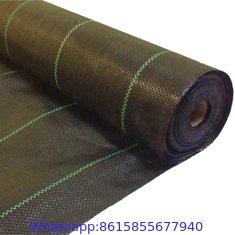 Polypropylene agricultural Factory Direct Sale Weed Mat Control Black Agricultural Breathable