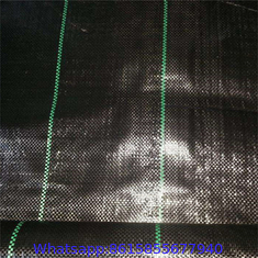 Polypropylene agricultural Factory Direct Sale Weed Mat Control Black Agricultural Breathable