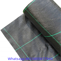 high quality weed control mat & fire resistant ground cover & pp woven weed control mat with cheap price