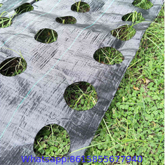 high quality weed control mat & fire resistant ground cover & pp woven weed control mat with cheap price