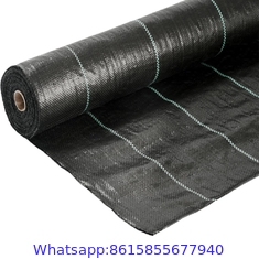 UV Treated PP Agricultural Landscap4m Width  Weed Barrier Fabric100 GSM White Greenhouse Weed Blockage Anti-Weed Control