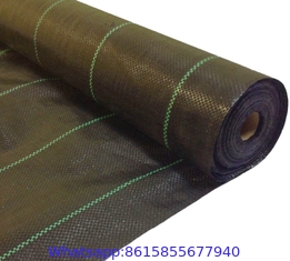 UV Treated PP Agricultural Landscap4m Width  Weed Barrier Fabric100 GSM White Greenhouse Weed Blockage Anti-Weed Control