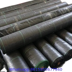 UV Treated PP Agricultural Landscap4m Width  Weed Barrier Fabric100 GSM White Greenhouse Weed Blockage Anti-Weed Control