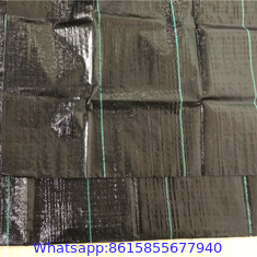 PP Woven Garden Fabric PP Woven Garden Fabric Mulch Weedmats For Garden Vegetable Weed Control