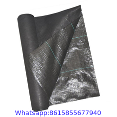 Factory Supply PP Woven Weed Control Mat / Ground Cover Mesh Fabric / Agricultural Black Plastic Ground Cover