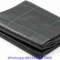 Factory Supply PP Woven Weed Control Mat / Ground Cover Mesh Fabric / Agricultural Black Plastic Ground Cover