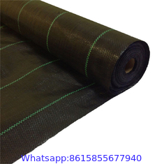 Factory Supply PP Woven Weed Control Mat / Ground Cover Mesh Fabric / Agricultural Black Plastic Ground Cover