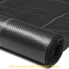 Factory Supply PP Woven Weed Control Mat / Ground Cover Mesh Fabric / Agricultural Black Plastic Ground Cover