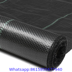 Factory Supply PP Woven Weed Control Mat / Ground Cover Mesh Fabric / Agricultural Black Plastic Ground Cover