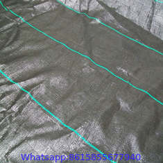 Factory Supply PP Woven Weed Control Mat / Ground Cover Mesh Fabric / Agricultural Black Plastic Ground Cover