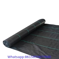 Factory Supply PP Woven Weed Control Mat / Ground Cover Mesh Fabric / Agricultural Black Plastic Ground Cover