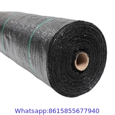 Factory Supply PP Woven Weed Control Mat / Ground Cover Mesh Fabric / Agricultural Black Plastic Ground Cover