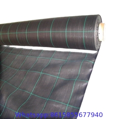 agrotextile pp woven geotextile mat ground cover /against weeds/anti-weed mats in the gardening