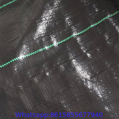agrotextile pp woven geotextile mat ground cover /against weeds/anti-weed mats in the gardening