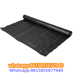 Plastic cheap anti weed mat woven PP ground cover for agriculture