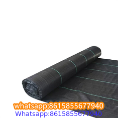 Plastic cheap anti weed mat woven PP ground cover for agriculture