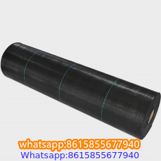 Plastic cheap anti weed mat woven PP ground cover for agriculture