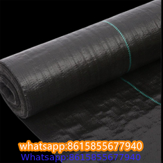 Plastic cheap anti weed mat woven PP ground cover for agriculture