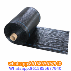 Plastic cheap anti weed mat woven PP ground cover for agriculture