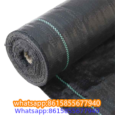 Plastic cheap anti weed mat woven PP ground cover for agriculture