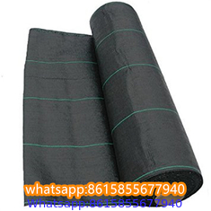 Plastic cheap anti weed mat woven PP ground cover for agriculture