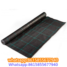 Plastic cheap anti weed mat woven PP ground cover for agriculture