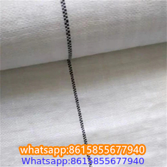 Plastic cheap anti weed mat woven PP ground cover for agriculture