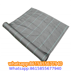 Plastic cheap anti weed mat woven PP ground cover for agriculture