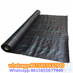 Plastic cheap anti weed mat woven PP ground cover for agriculture