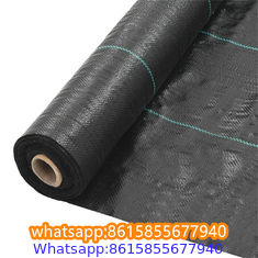 Plastic cheap anti weed mat woven PP ground cover for agriculture