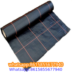 Plastic cheap anti weed mat woven PP ground cover for agriculture