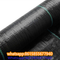 Plastic cheap anti weed mat woven PP ground cover for agriculture