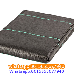 Plastic cheap anti weed mat woven PP ground cover for agriculture