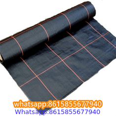 Plastic cheap anti weed mat woven PP ground cover for agriculture