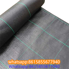 Plastic cheap anti weed mat woven PP ground cover for agriculture