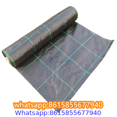 Plastic cheap anti weed mat woven PP ground cover for agriculture