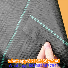 Plastic cheap anti weed mat woven PP ground cover for agriculture