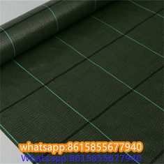 Plastic cheap anti weed mat woven PP ground cover for agriculture